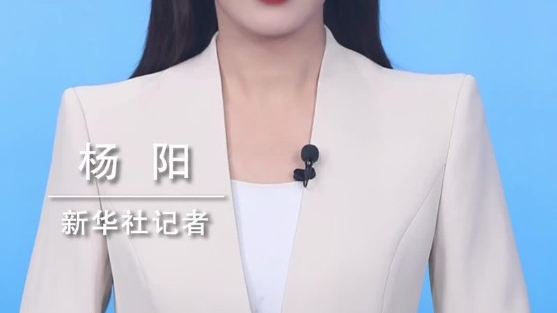 数据安全等级保护系统定制：构建企业信息安全的坚实防线